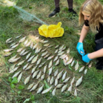 Браконьєра з сіткою затримали на Ладижинському водосховищі