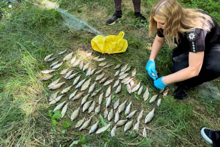 Браконьєра з сіткою затримали на Ладижинському водосховищі