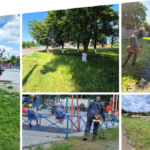 До середини липня у Вінниці обкосять понад 80 тисяч м² територій