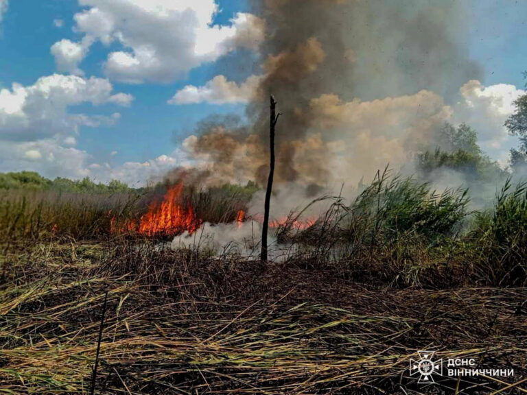 За минулу добу на Вінниччині сталось 20 пожеж