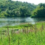 Місце, де живуть рідкісні ховрахи: на Вінниччині з’явиться нова природоохоронна зона