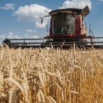 Рекордні показники врожайності: як проходять жнива на Вінниччині цього року