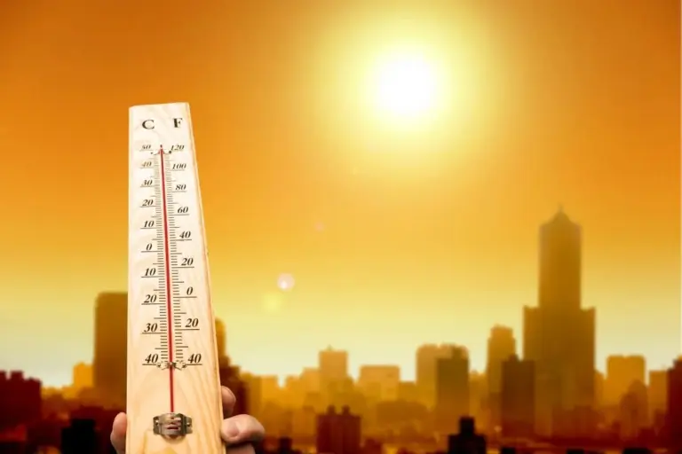 Цьогоріч вже близько 10 тисяч людей померли через спеку