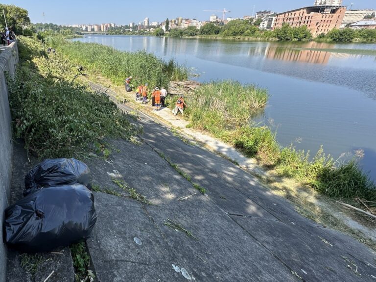 У Вінниці відбулась толока на набережній