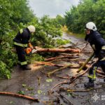 Наслідки негоди на Вінниччині: повалені дерева, підтоплений будинок і десятки викликів ДСНС