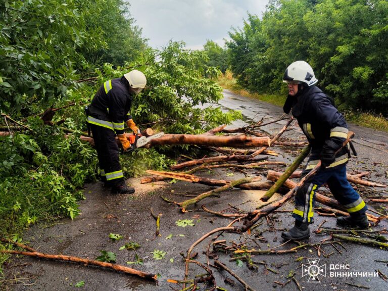 Наслідки негоди на Вінниччині: повалені дерева, підтоплений будинок і десятки викликів ДСНС