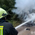 Недопалок ледь не знищив ліс: на Вінниччині вигорів понад гектар території