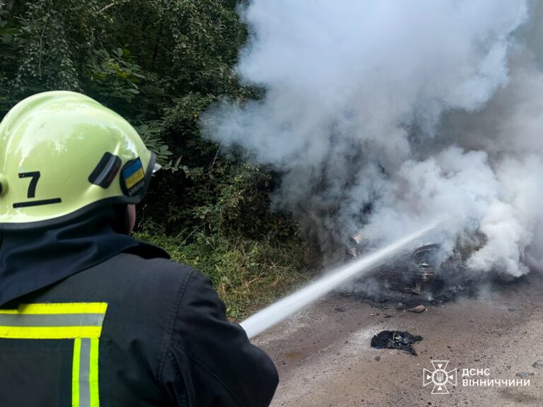 Недопалок ледь не знищив ліс: на Вінниччині вигорів понад гектар території