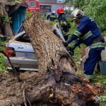 Дерева перекрили рух і пошкодили авто: наслідки сильного вітру на Вінниччині (ФОТО)