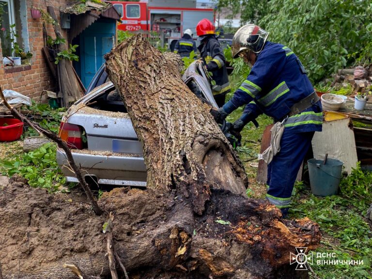 Дерева перекрили рух і пошкодили авто: наслідки сильного вітру на Вінниччині (ФОТО)