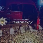 П’яний водій виїхав під потяг: на Вінниччині суд виніс вирок за загибель 15-річної дівчини