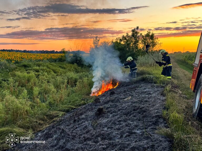 У Ладижині через пожежу в багатоповерхівці евакуювали 15 мешканців