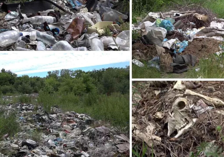 У Жмеринській громаді колишня зона відпочинку перетворилася на смітник