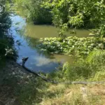 Набирали воду з річки: на Вінниччині екоінспектори провели рейд