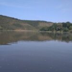 Заплутався у водоростях і почав тонути: прикордонники врятували вінничанина