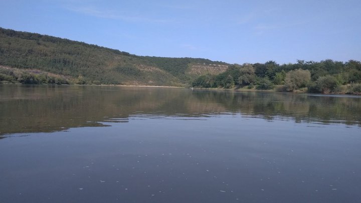 Заплутався у водоростях і почав тонути: прикордонники врятували вінничанина