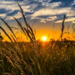 Вінниччину накриє спека до +32°: оголосили надзвичайний рівень пожежної небезпеки