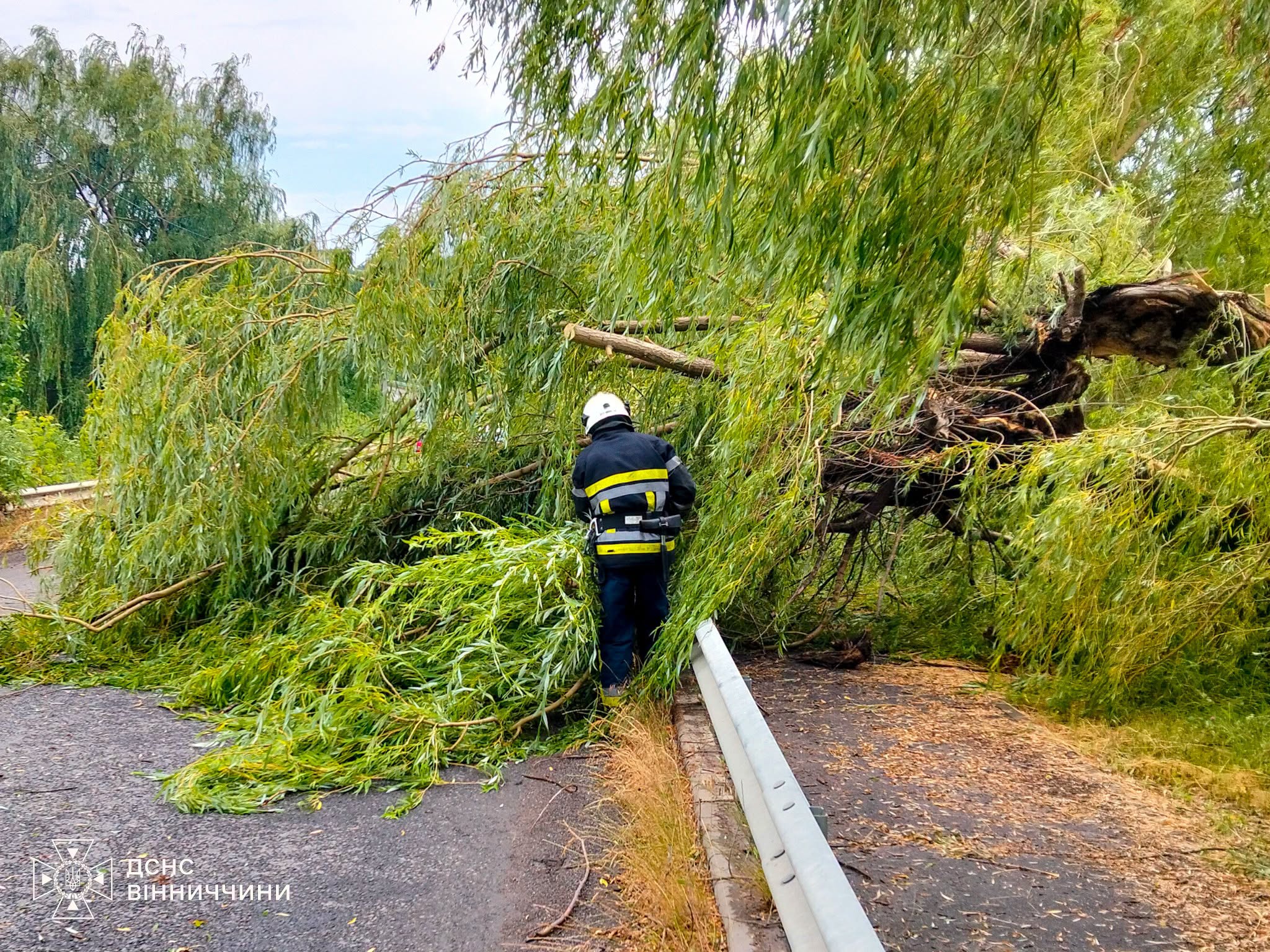 Негода на Вінниччині: вітер повалив дерева та зірвав дах будинку