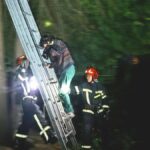 Кіт заманив господарку на дерево: у Львові рятувальники прийшли на допомогу