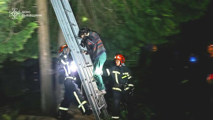 Кіт заманив господарку на дерево: у Львові рятувальники прийшли на допомогу