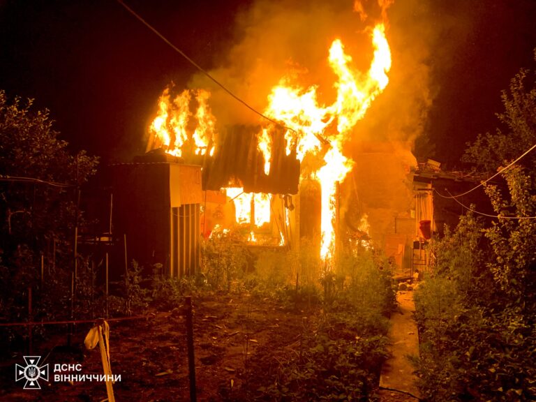 Вогонь атакував Вінниччину: за добу сталося п’ять пожеж у різних громадах