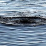 Вінницькі рятувальники дістали з водойм тіла двох загиблих рибалок