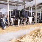 Дрібні фермери Вінниччини можуть отримати пільгові кредити