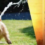 Україну після прохолоди накриє нова хвиля спеки: коли чекати до +33°C