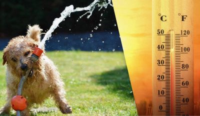 Україну після прохолоди накриє нова хвиля спеки: коли чекати до +33°C