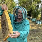 «Бджоли мене кусали і лікували»: 65-річний пасічник із Вінниччини розповів про 30 років на пасіці