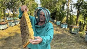 «Бджоли мене кусали і лікували»: 65-річний пасічник із Вінниччини розповів про 30 років на пасіці