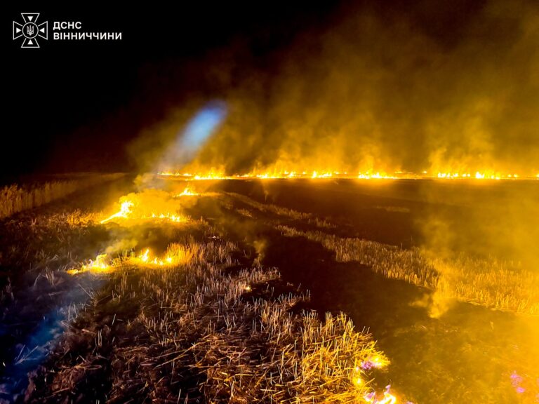 16 пожеж за день: Вінниччину накрила хвиля займань через людську недбалість