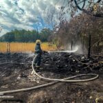 Полум’я ледь не дісталося будівель: на Вінниччині зафіксували сім пожеж за день