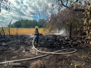 Полум’я ледь не дісталося будівель: на Вінниччині зафіксували сім пожеж за день