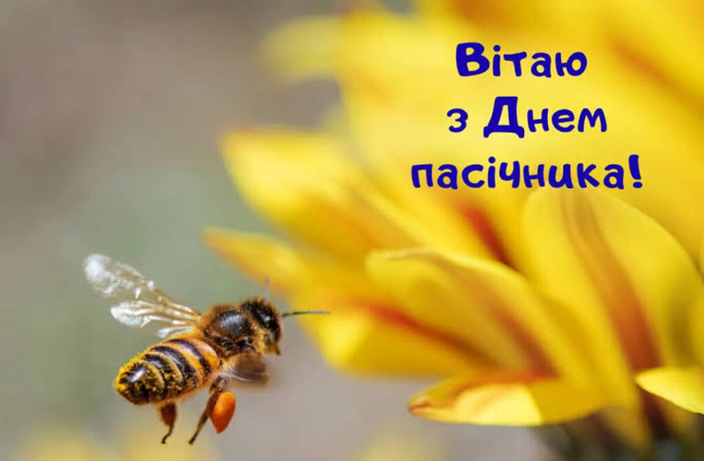 День пасічника 2026: найкращі привітання у прозі, віршах та листівках