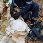 Ледь не загинула у вогні: в Ладижині рятувальники винесли з будинку 80-річну жінку