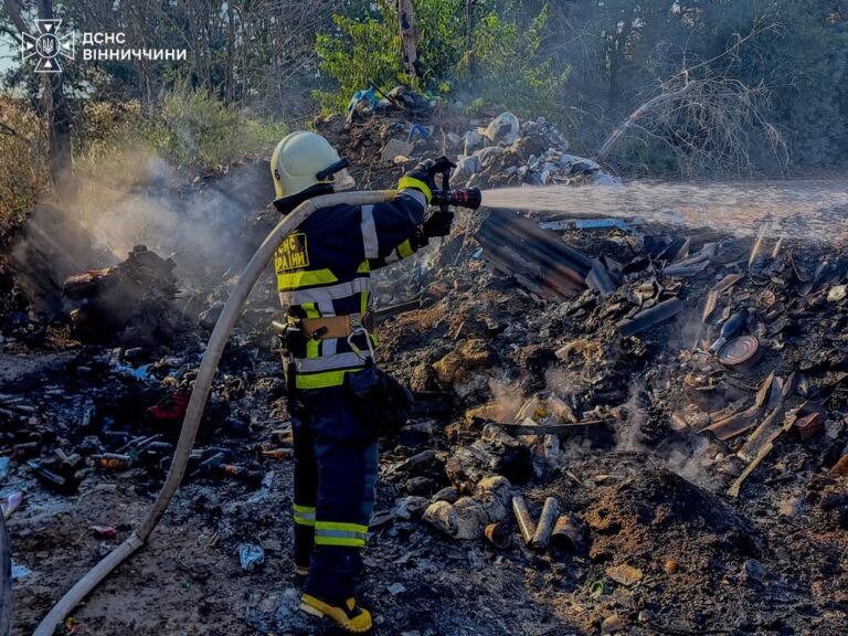 Палають поля та сухостій: на Вінниччині зафіксували 16 пожеж за добу