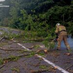 Негода на Вінниччині: рятувальники розчищали дороги у шести громадах
