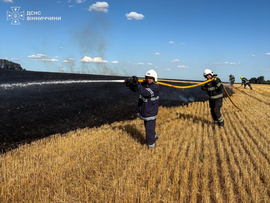 На Вінниччині за добу вогонь охопив понад 4 гектари сухостою
