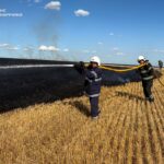 На Вінниччині за добу вогонь охопив понад 4 гектари сухостою
