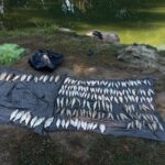 Судаки, окуні та 93 плітки: на Гайсинщині викрили браконьєра
