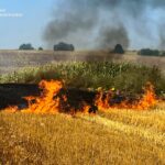 На Вінниччині за добу вигоріло майже 8 гектарів сухої рослинності