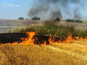 На Вінниччині за добу вигоріло майже 8 гектарів сухої рослинності