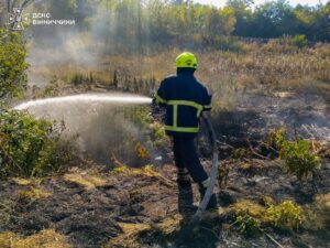 Кинутий недопалок спричинив пожежу на Вінниччині: вогонь перекинувся на господарську споруду