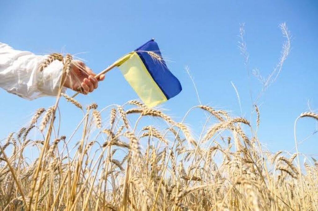 До +27° і без дощів: прогноз погоди на День Незалежності