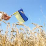 До +27° і без дощів: прогноз погоди на День Незалежності
