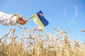 До +27° і без дощів: прогноз погоди на День Незалежності