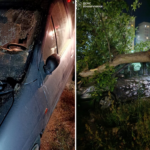 Дерево впало на авто у Вінниці: наслідки буревію