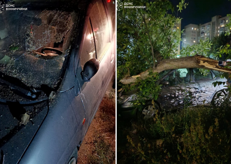 Дерево впало на авто у Вінниці: наслідки буревію