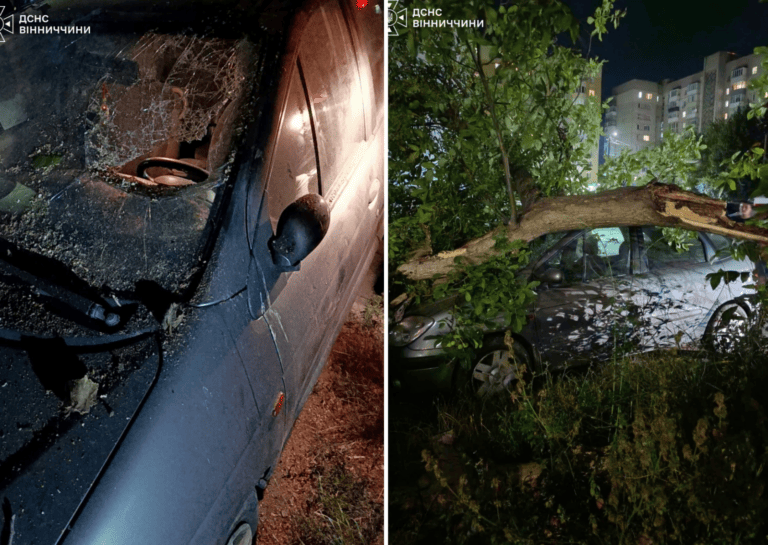 Дерево впало на авто у Вінниці: наслідки буревію